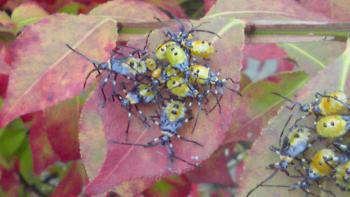 ファイル名: 200909221040000.jpg
ファイルサイズ: 14.5KB 200909221040000